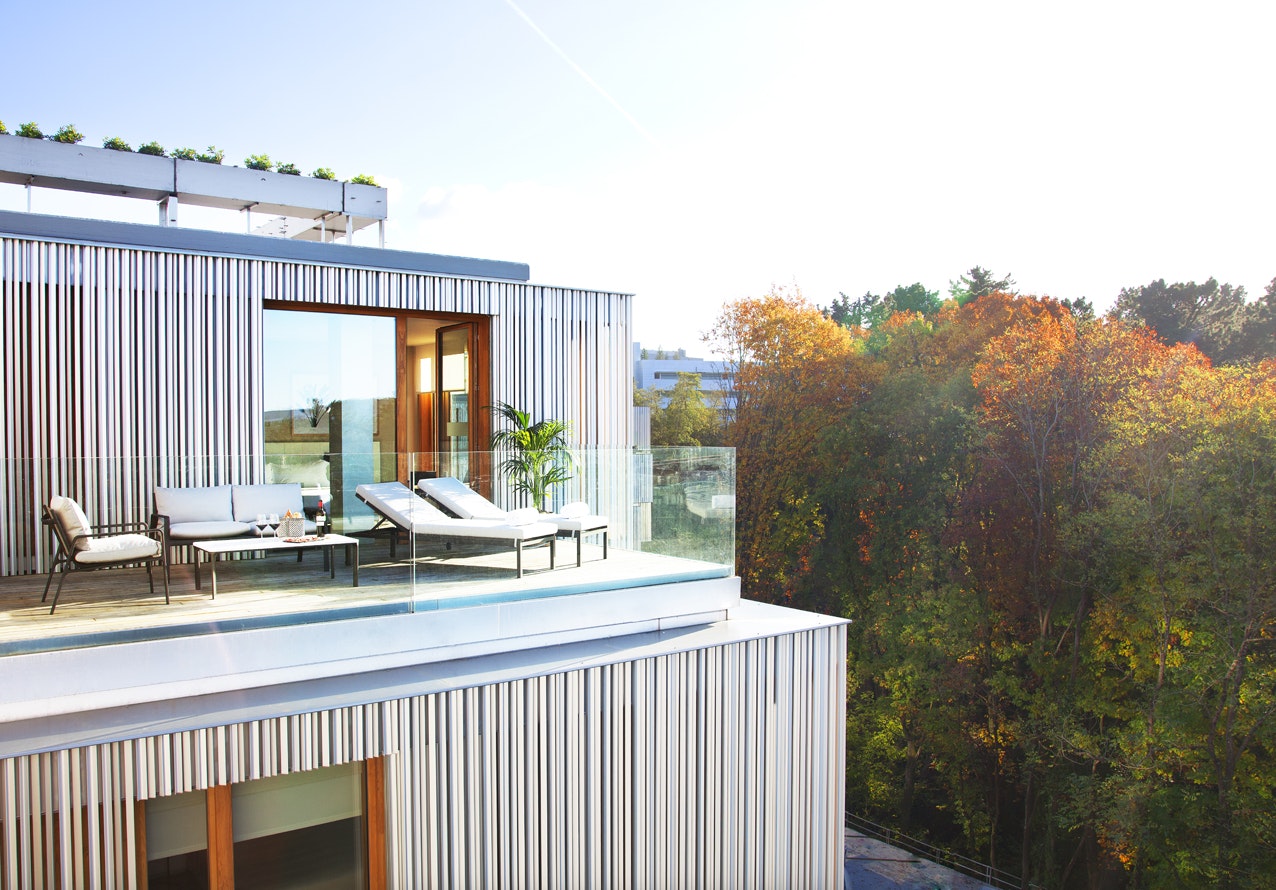 Terrace Over The Forest