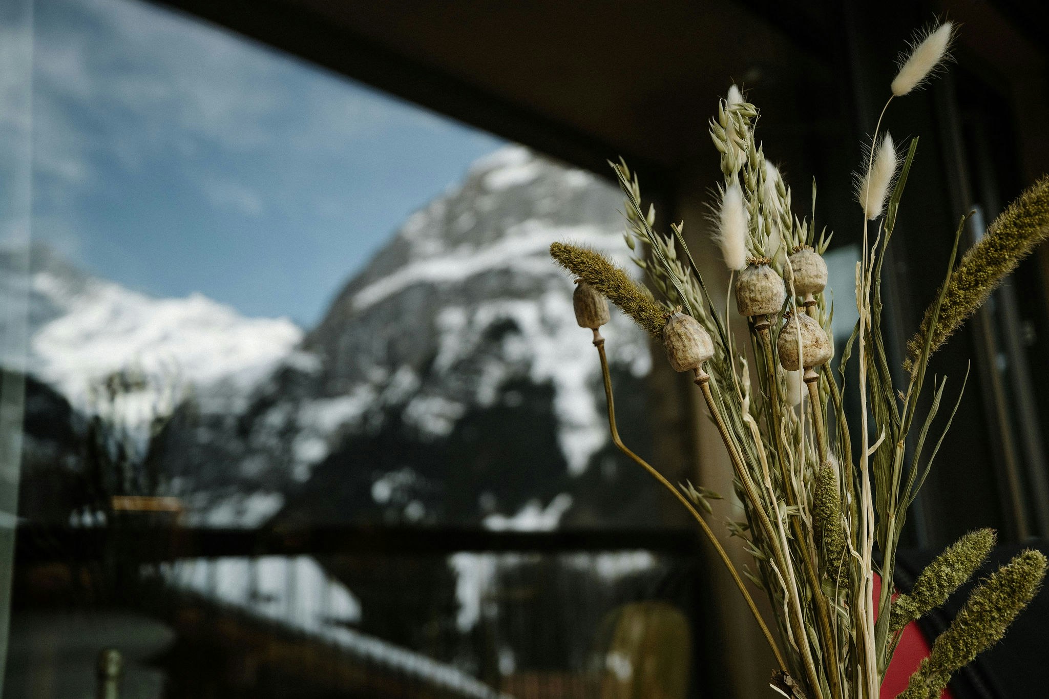 Luxury Eiger View
