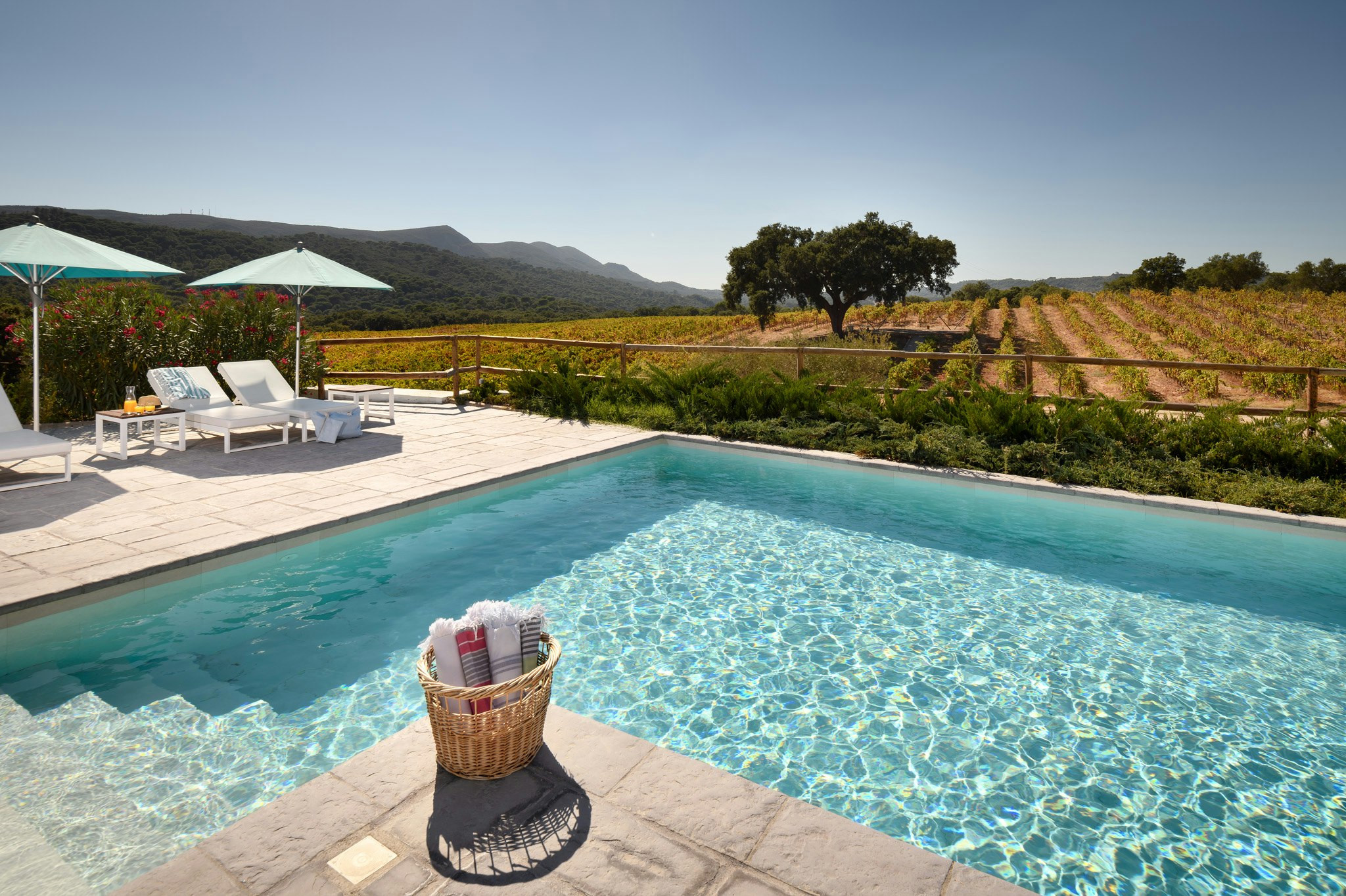 Adults Only Swimming Pool