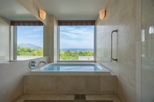 Park View Twin Room - Bathtub