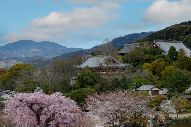 Maruyama Park And Chionin View