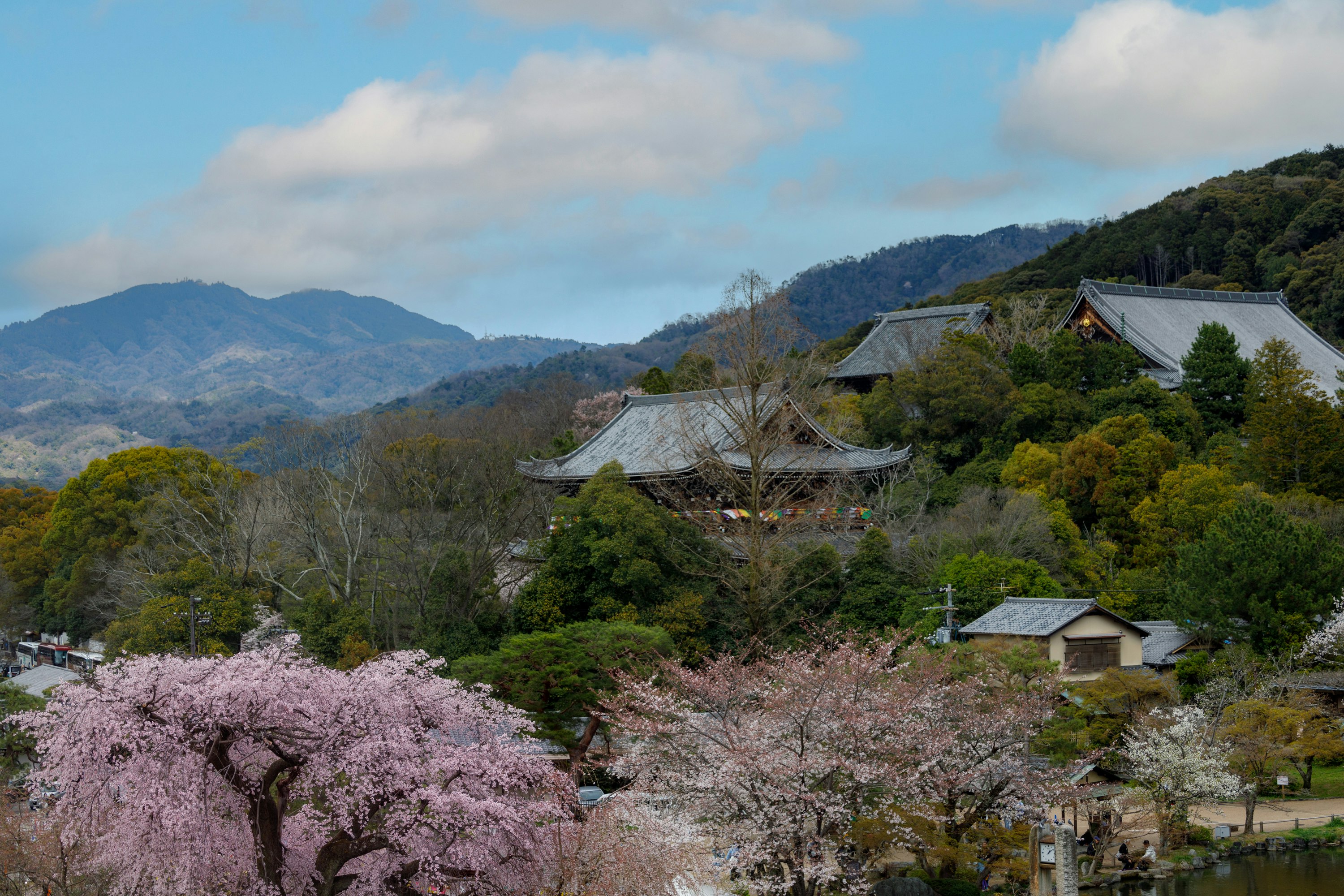 Maruyama Park And Chionin View