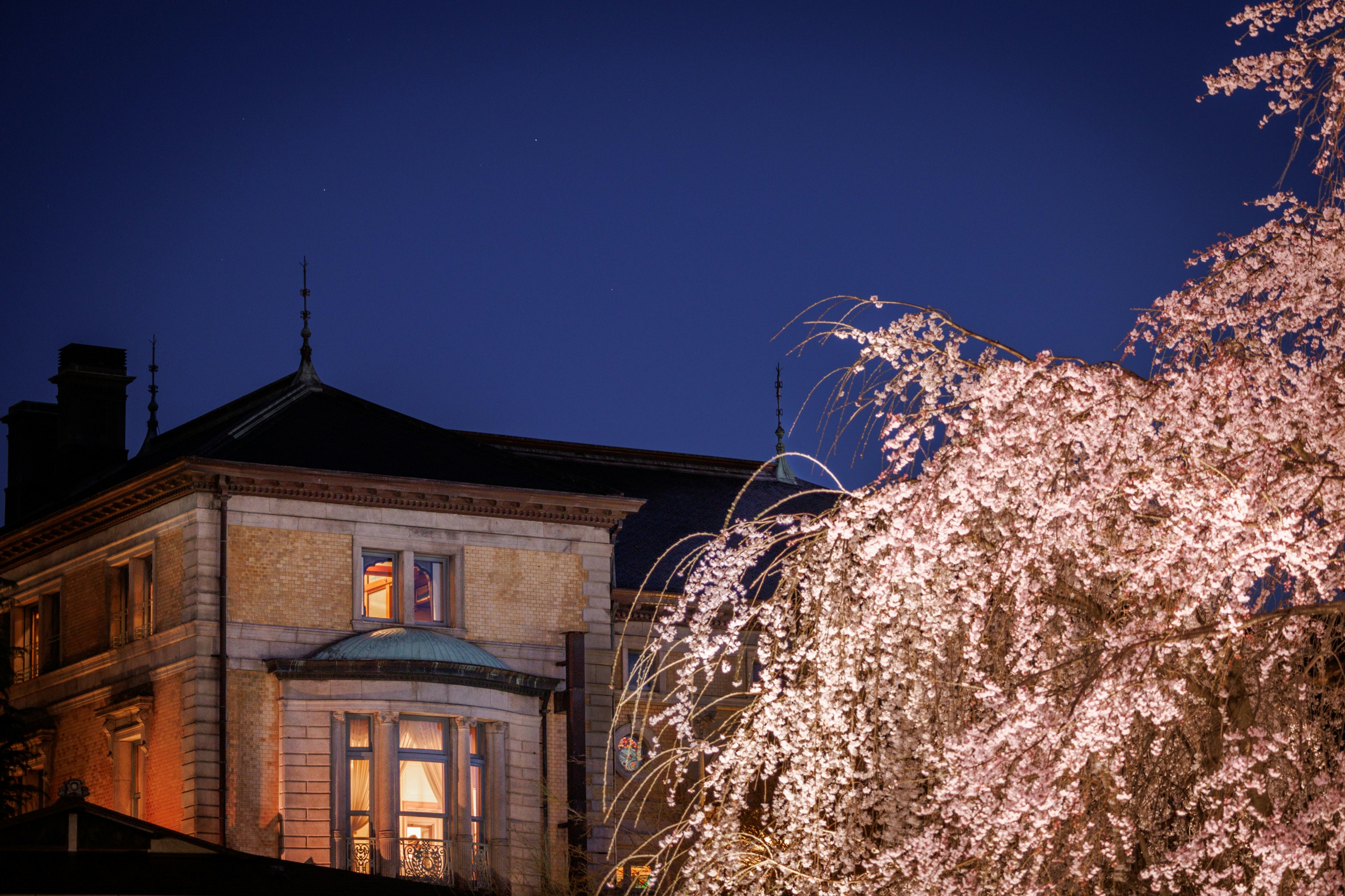Chourakukan With Cherry Blossoms From Maruyama Park