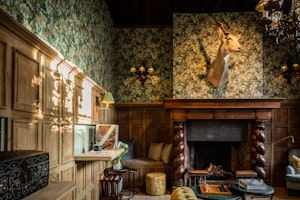 The Salon Fireplace