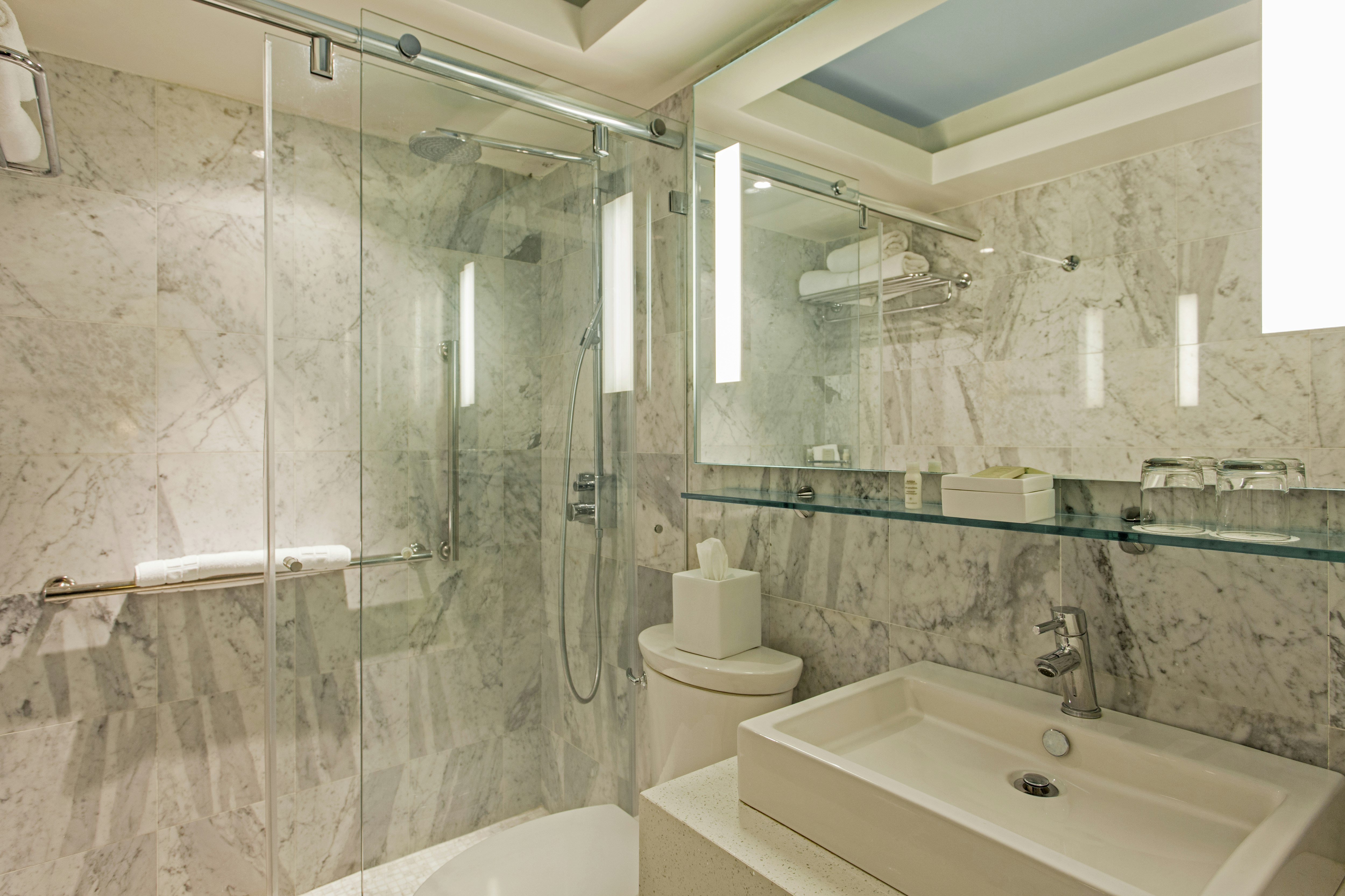 Queen Garden Deluxe Terrace Bathroom