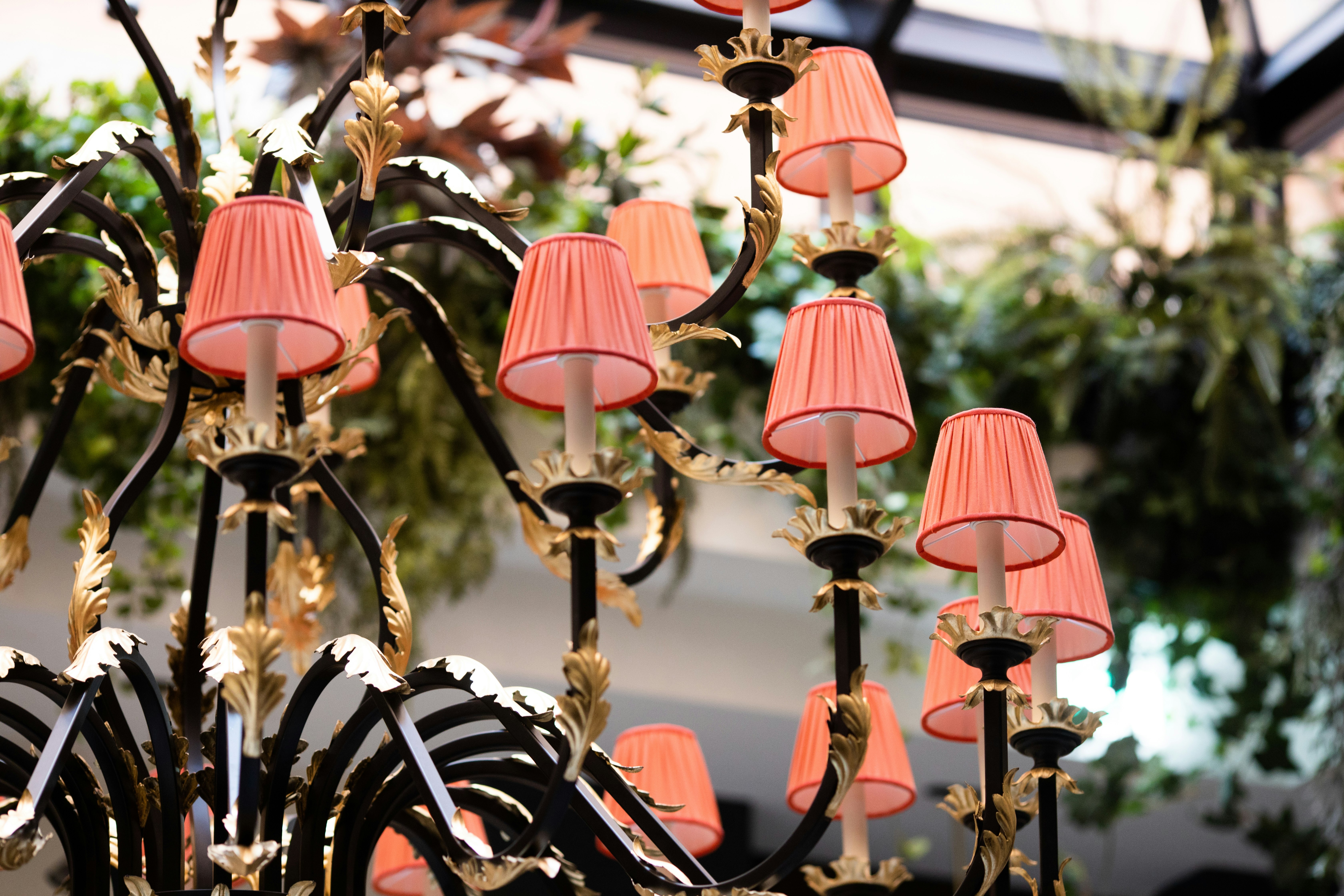 Don Pasquale Cucina & Bar Detail