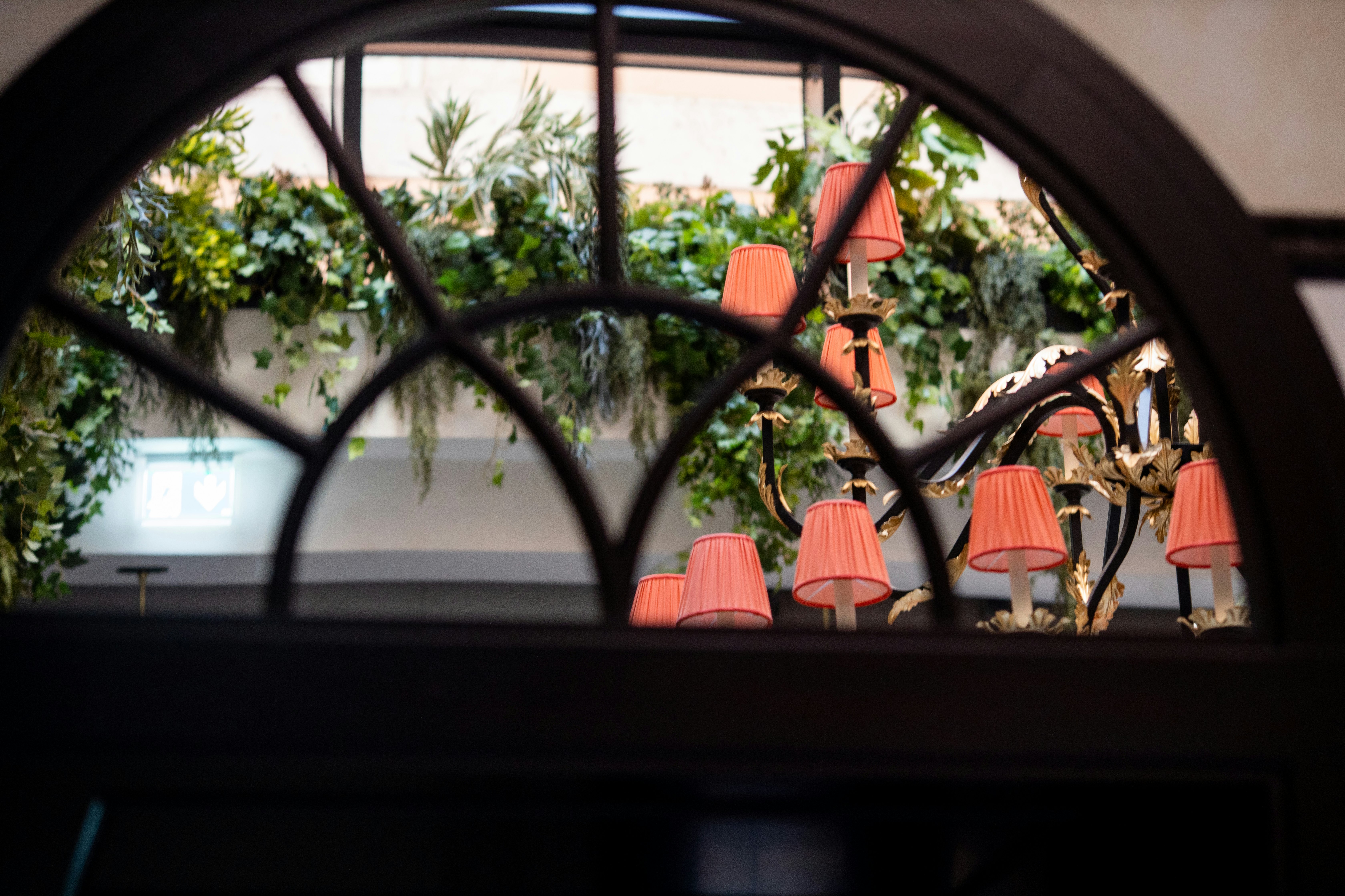 Don Pasquale Cucina & Bar Detail