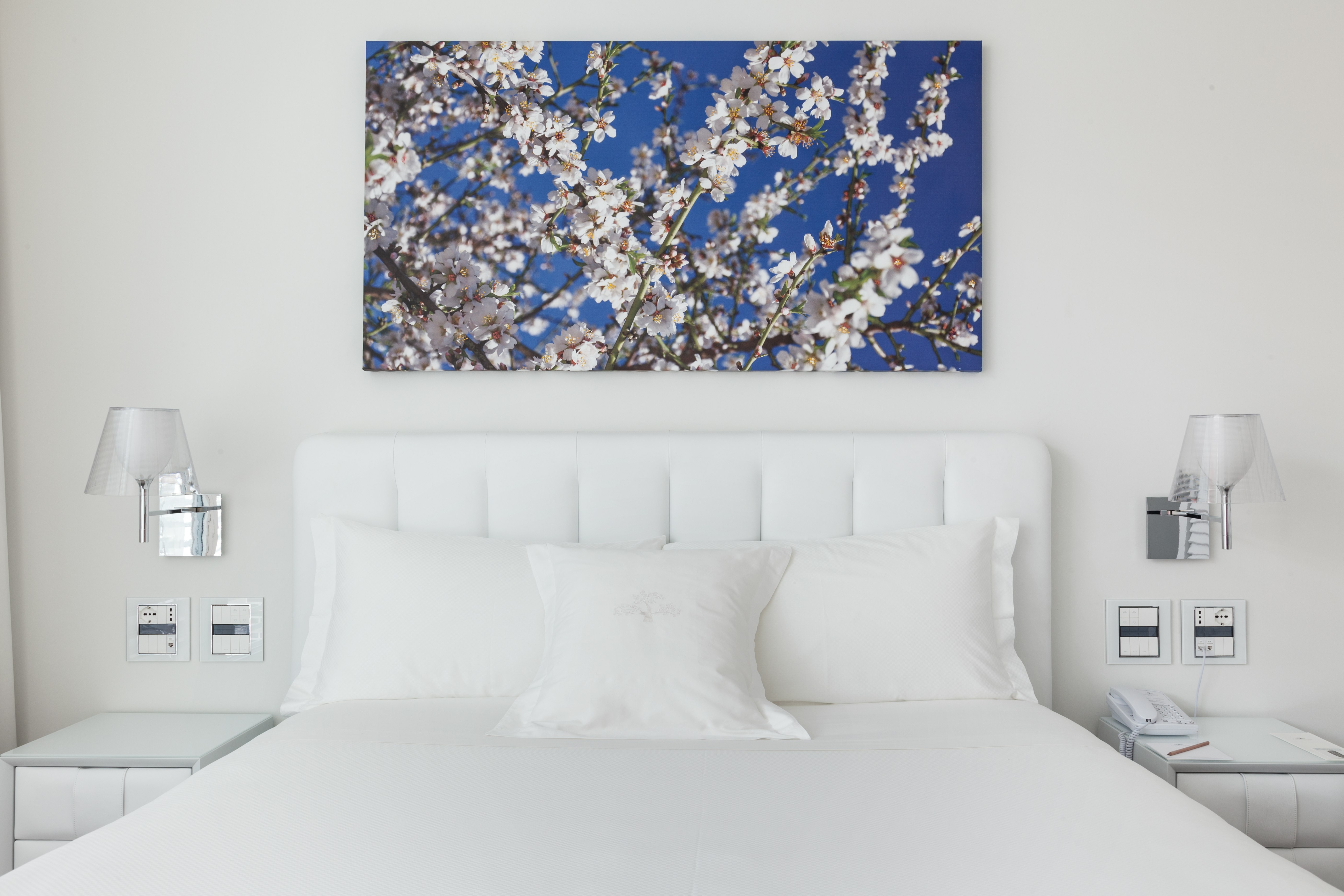 Junior Deluxe - Bedroom