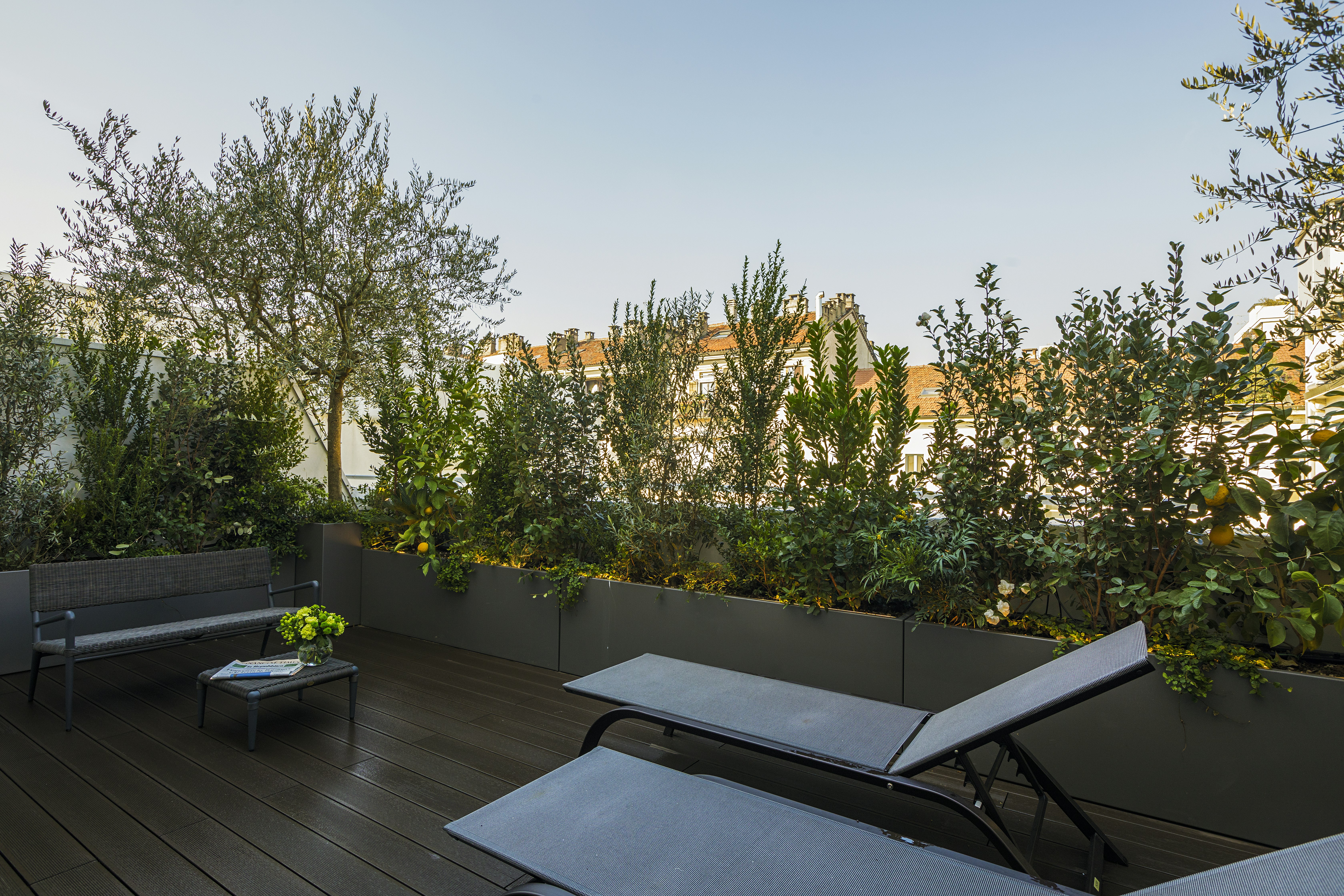 Prestige Terrace Suite - Terrace