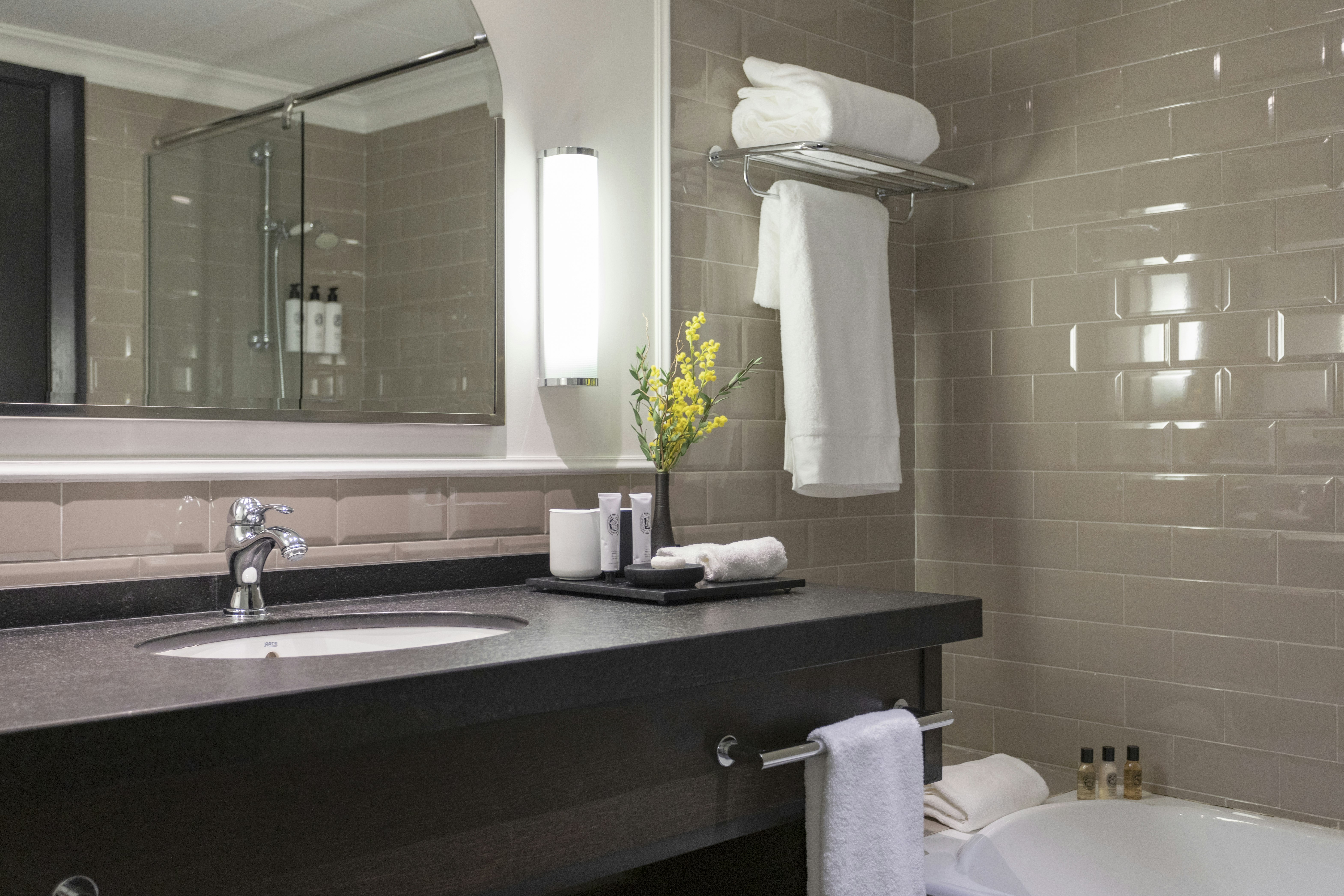 Contemporary Deluxe Bathroom