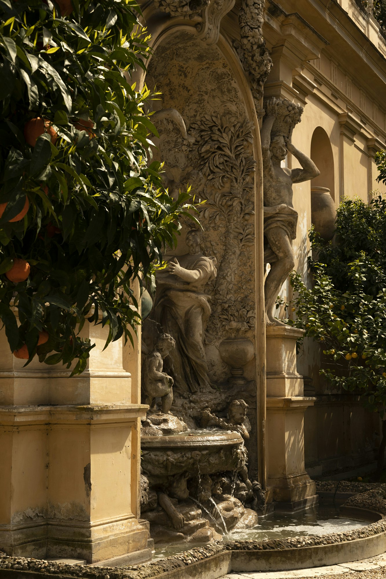 Palazzo Vilon - Garden