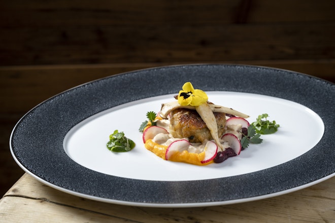 Alpine Haute Cuisine