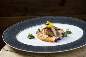 Alpine Haute Cuisine