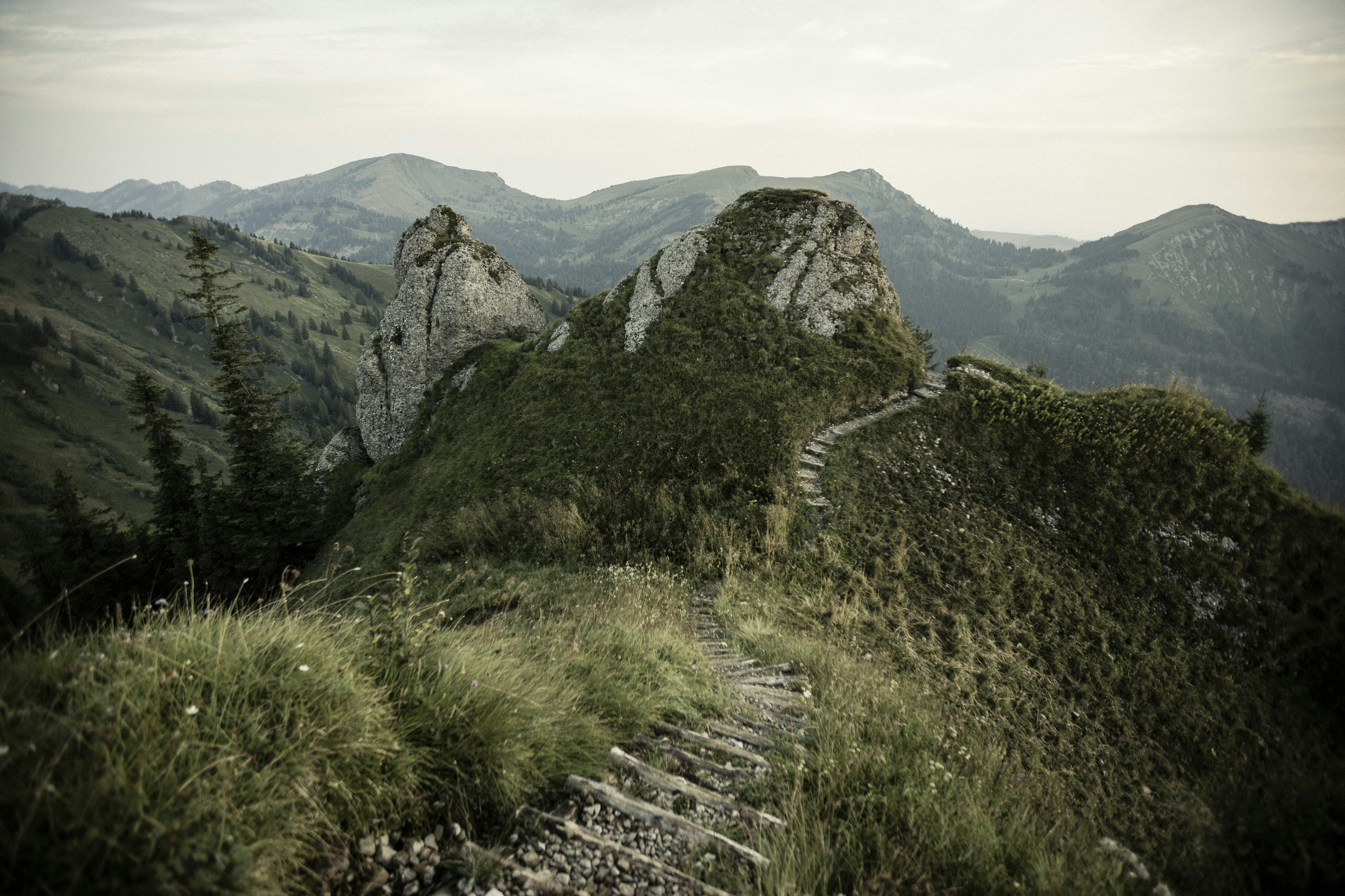 Allg_u Mountains Summer