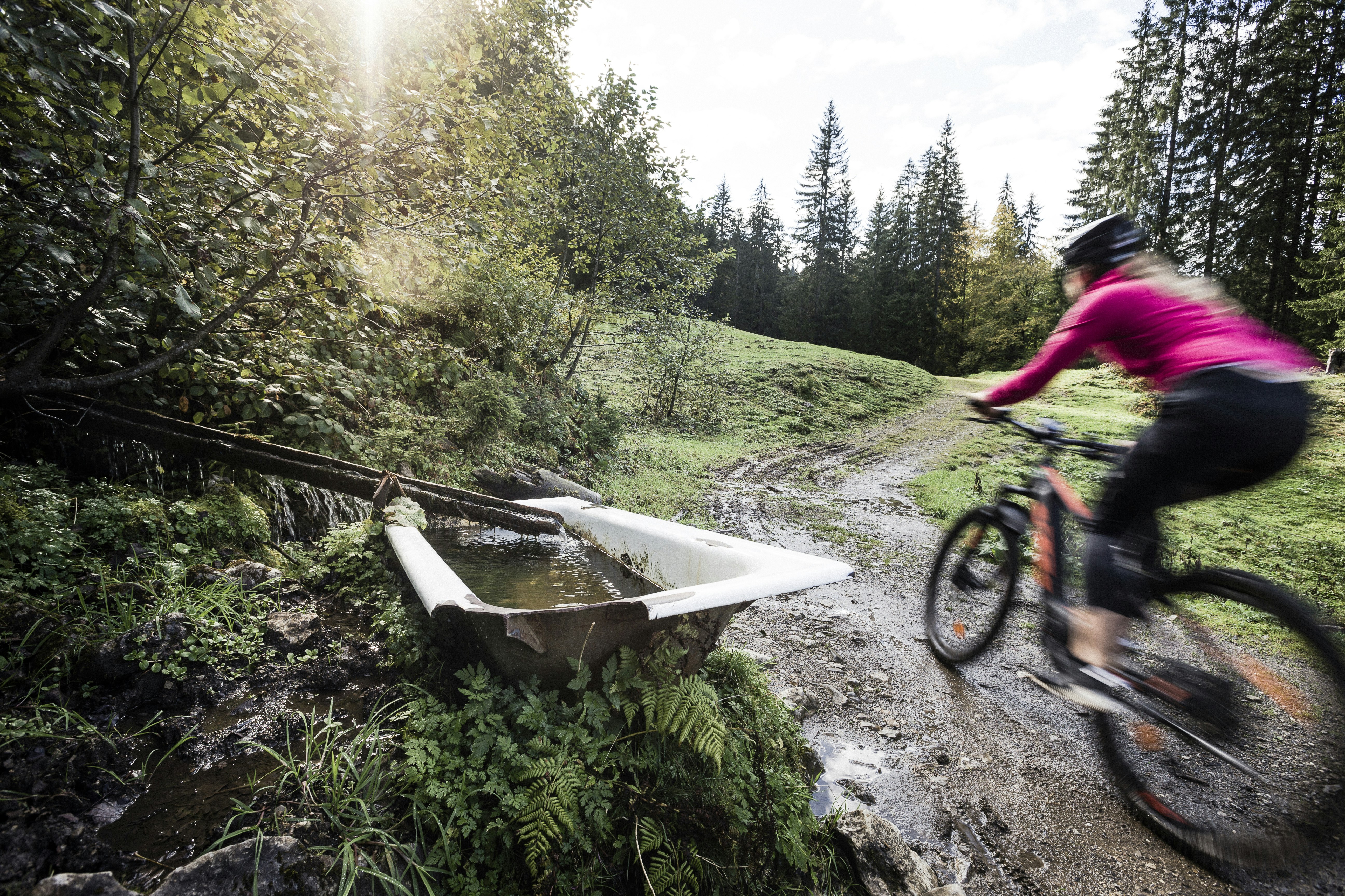 Mountain Biking in the Alps
