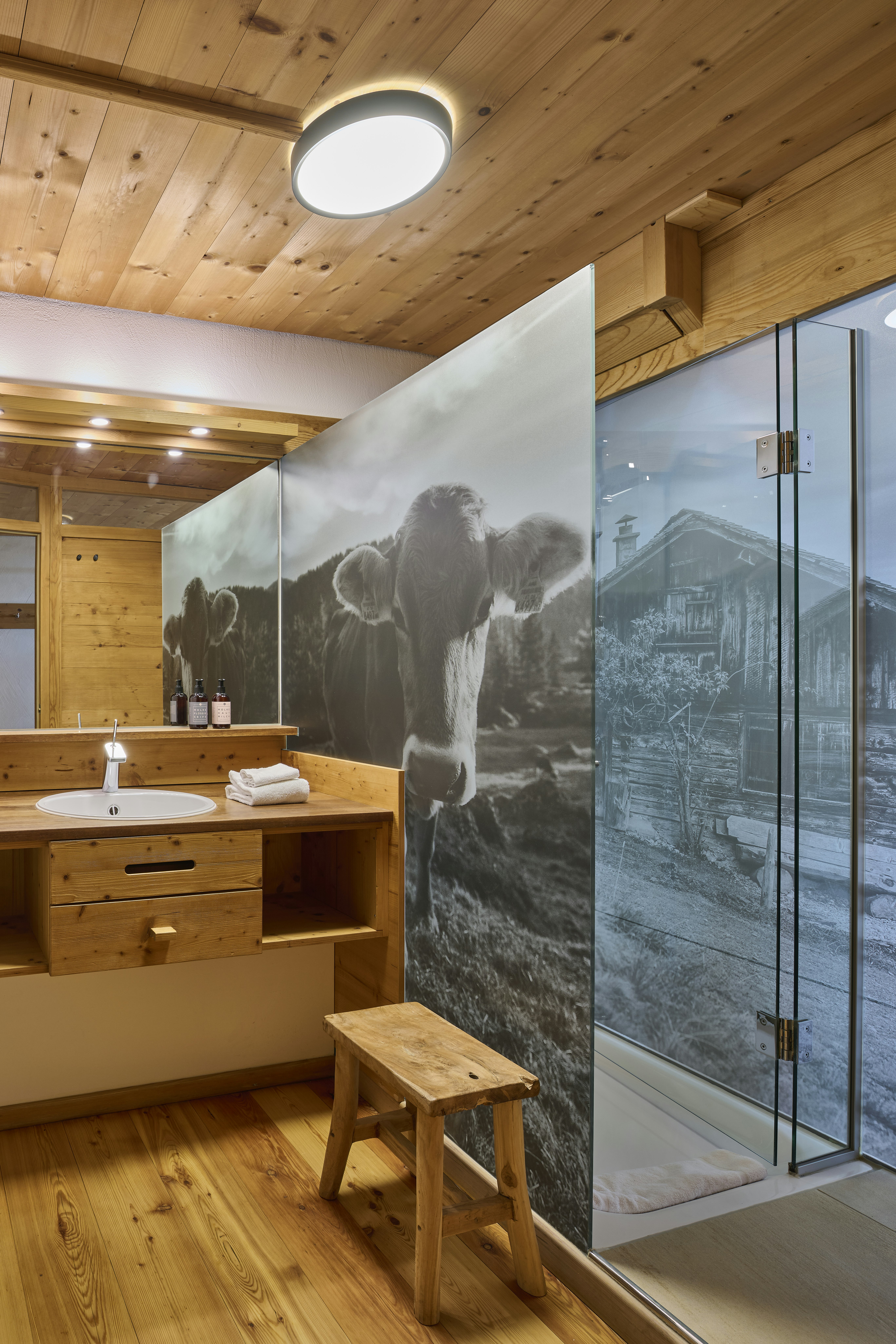 Hochalp / High Alp Room - Bathroom