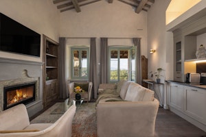 Junior Suite - Living Area