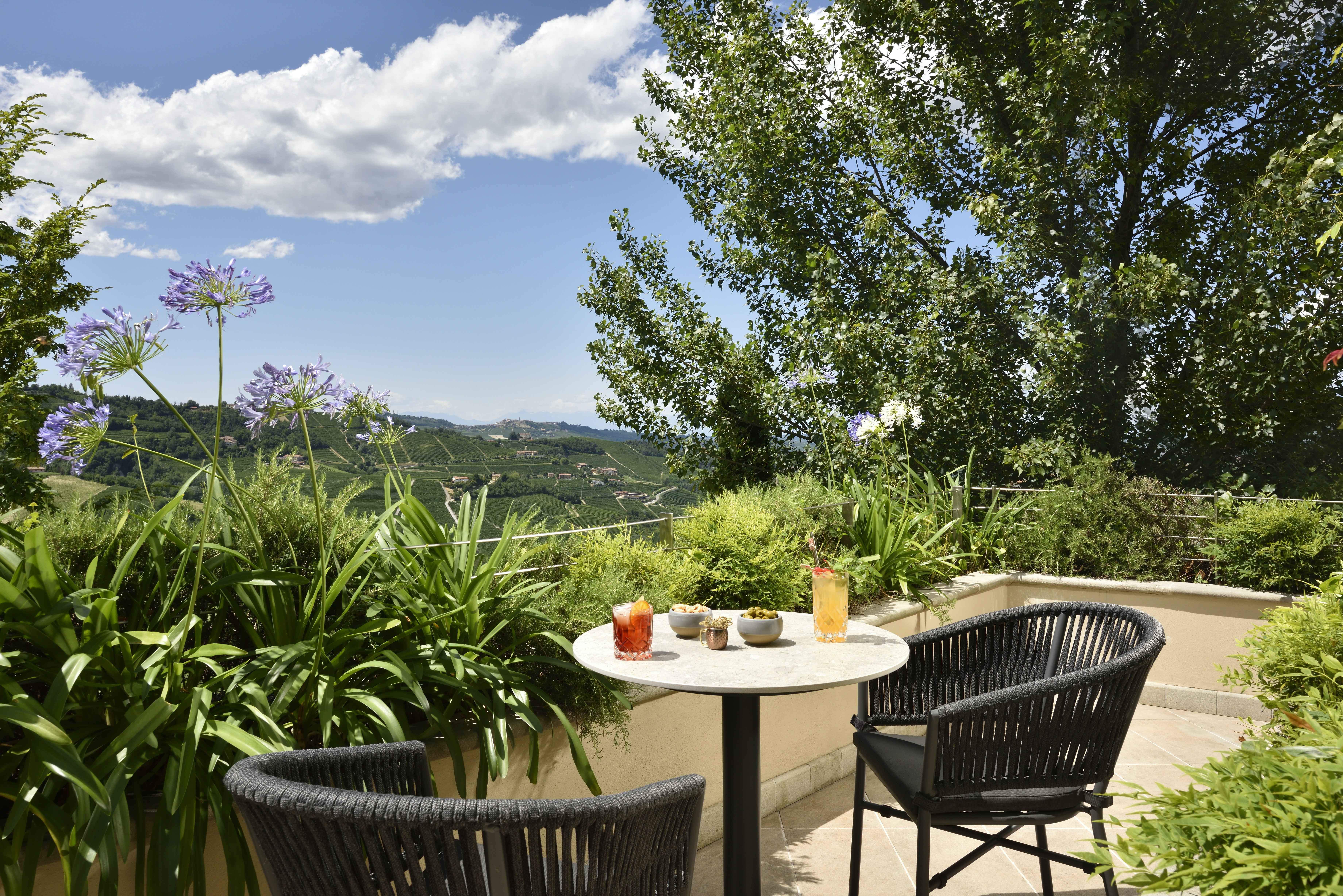 Terrace Suite - Terrace