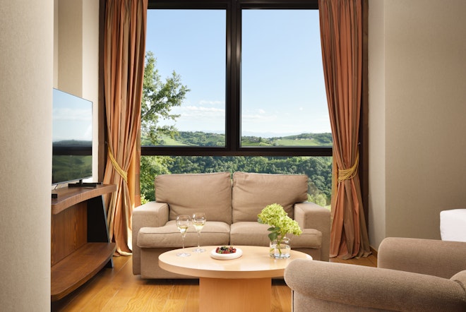 Deluxe Room - Living Area