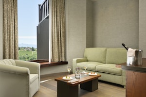 Junior Suite - Living Area