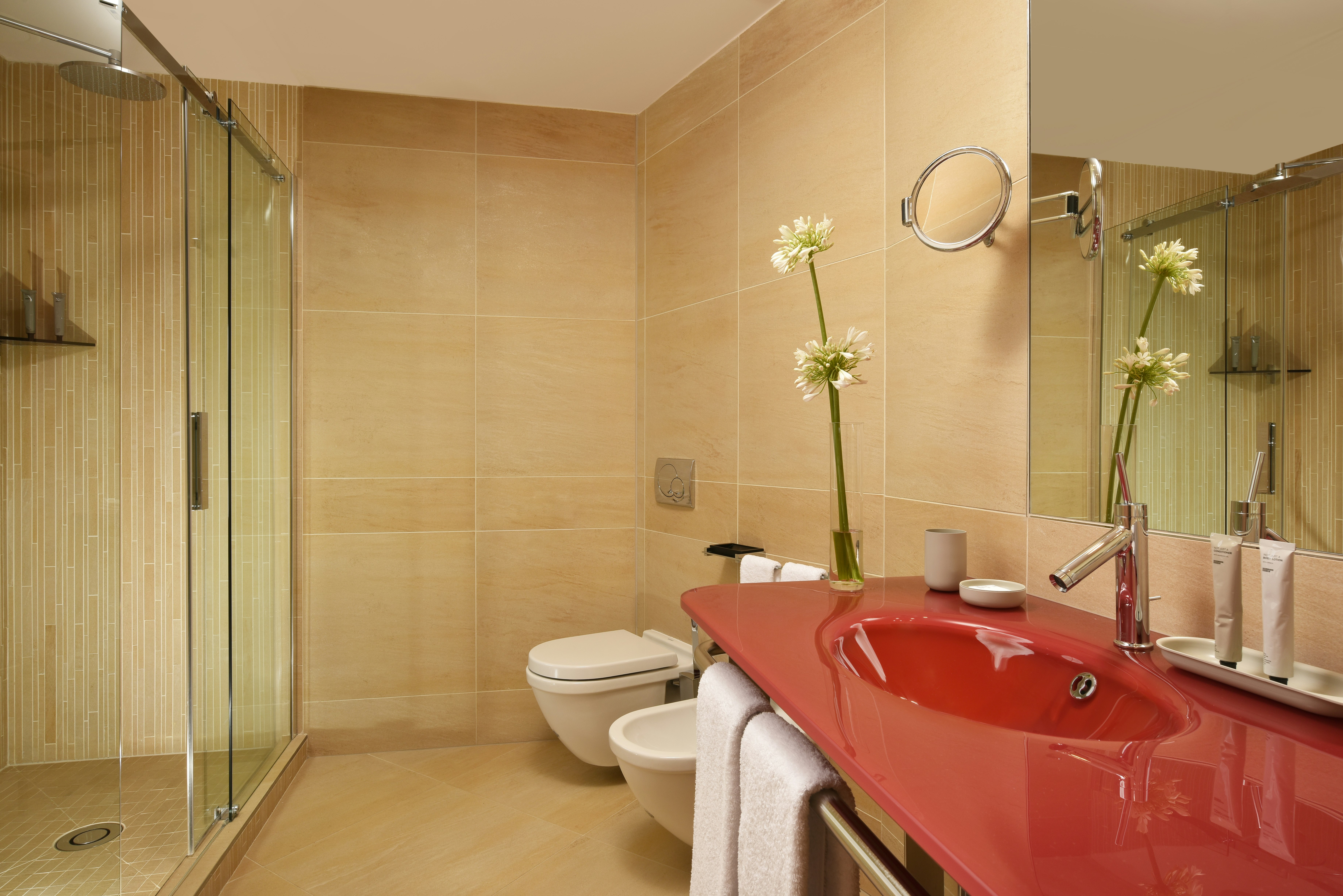 Classic Room - Bathroom