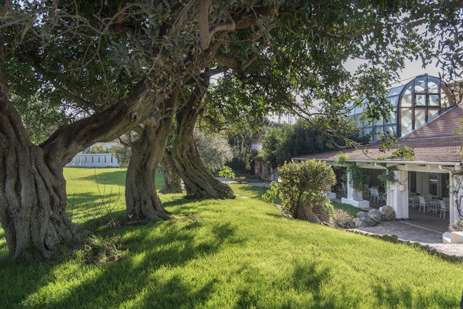 External Wellness Area