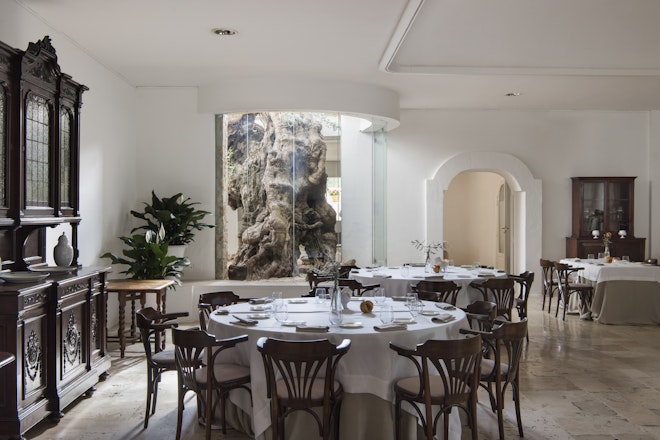 ULIVO Restaurant
