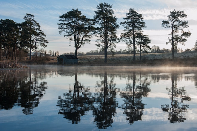Loch on the Estate
