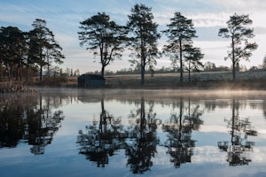 Loch on the Estate