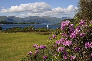 Isle of Eriska
