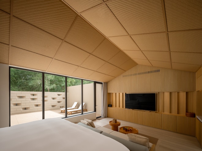 Premium Plunge Suite