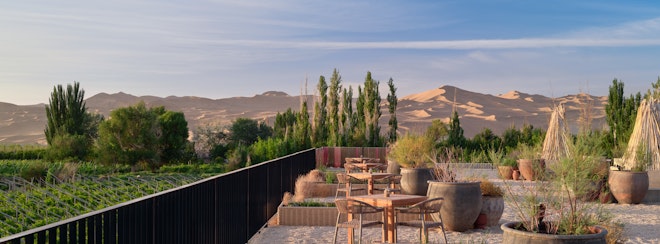 Rooftop Garden