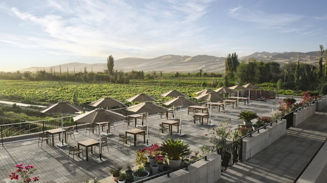 Roof Garden Event Setting