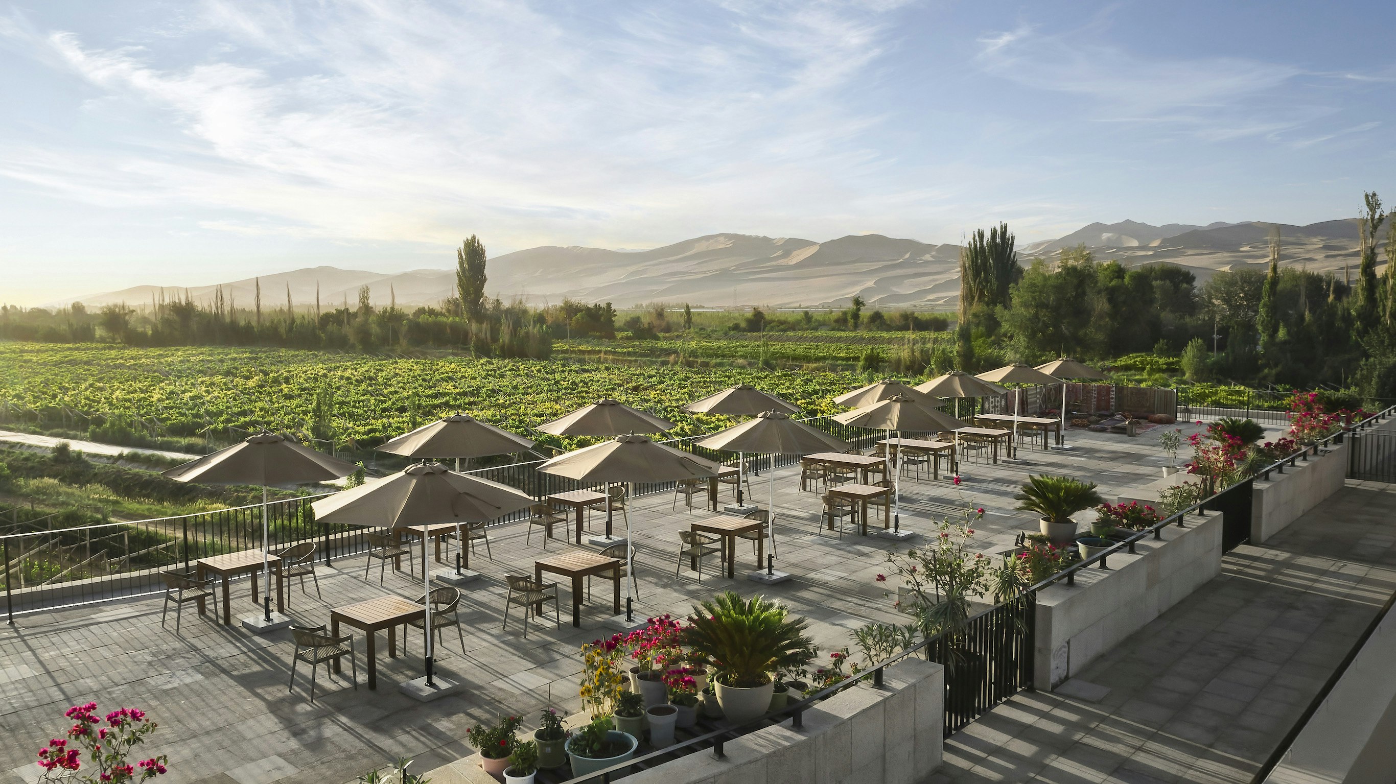 Roof Garden Event Setting