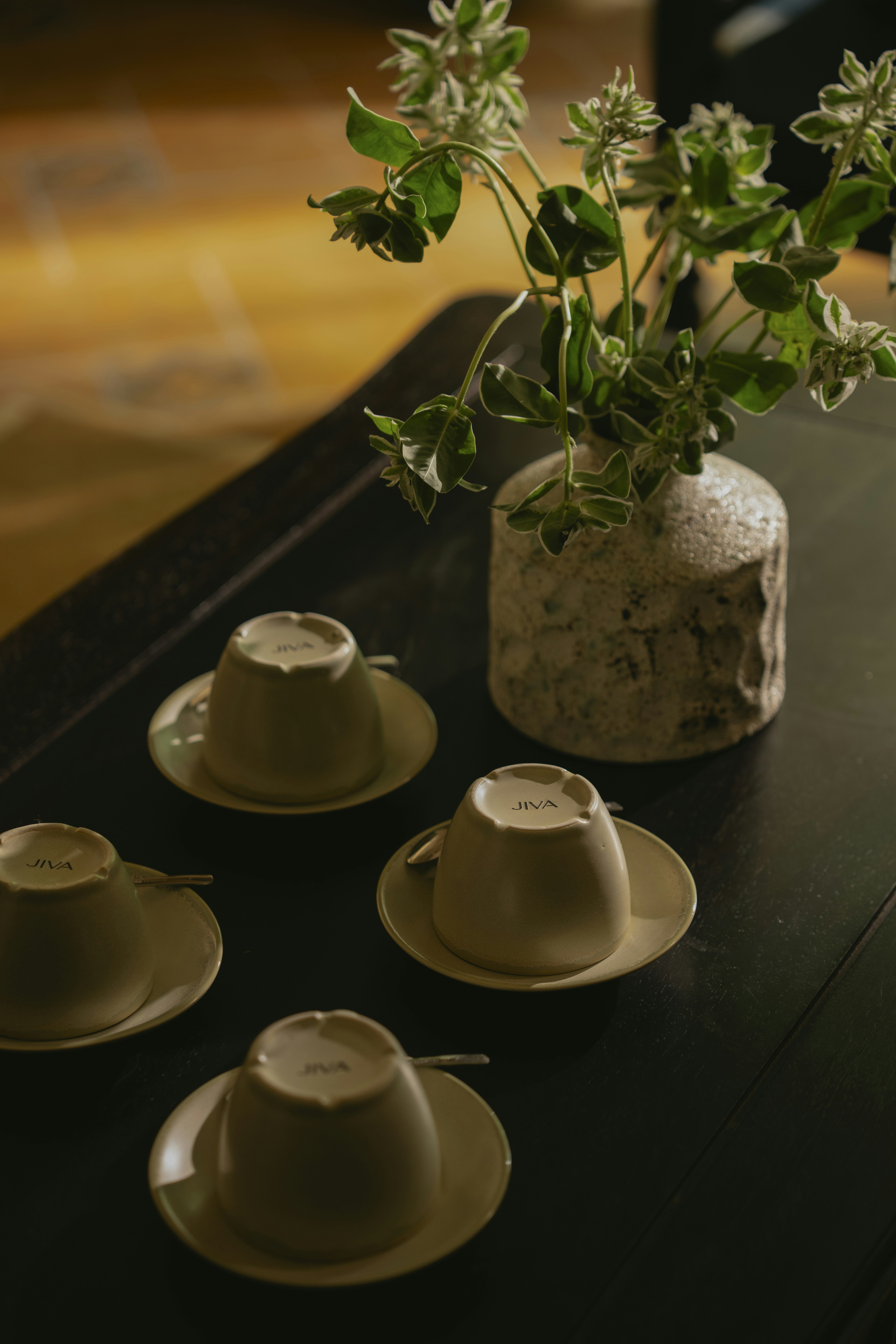 Tra Garden Villa - Room Details