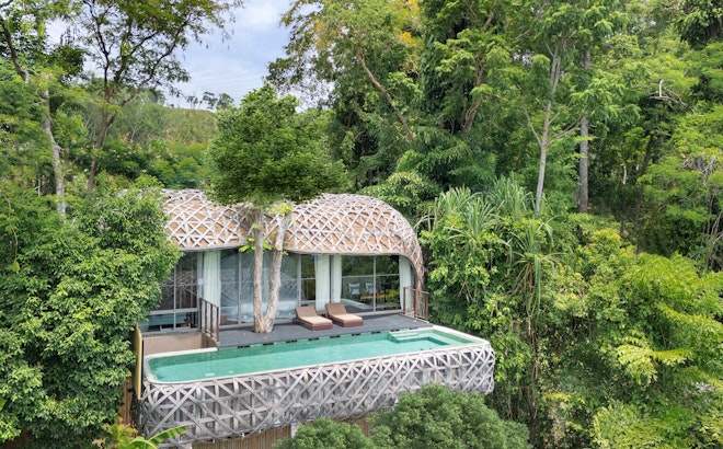 Birds Nest Pool Villa - Pool