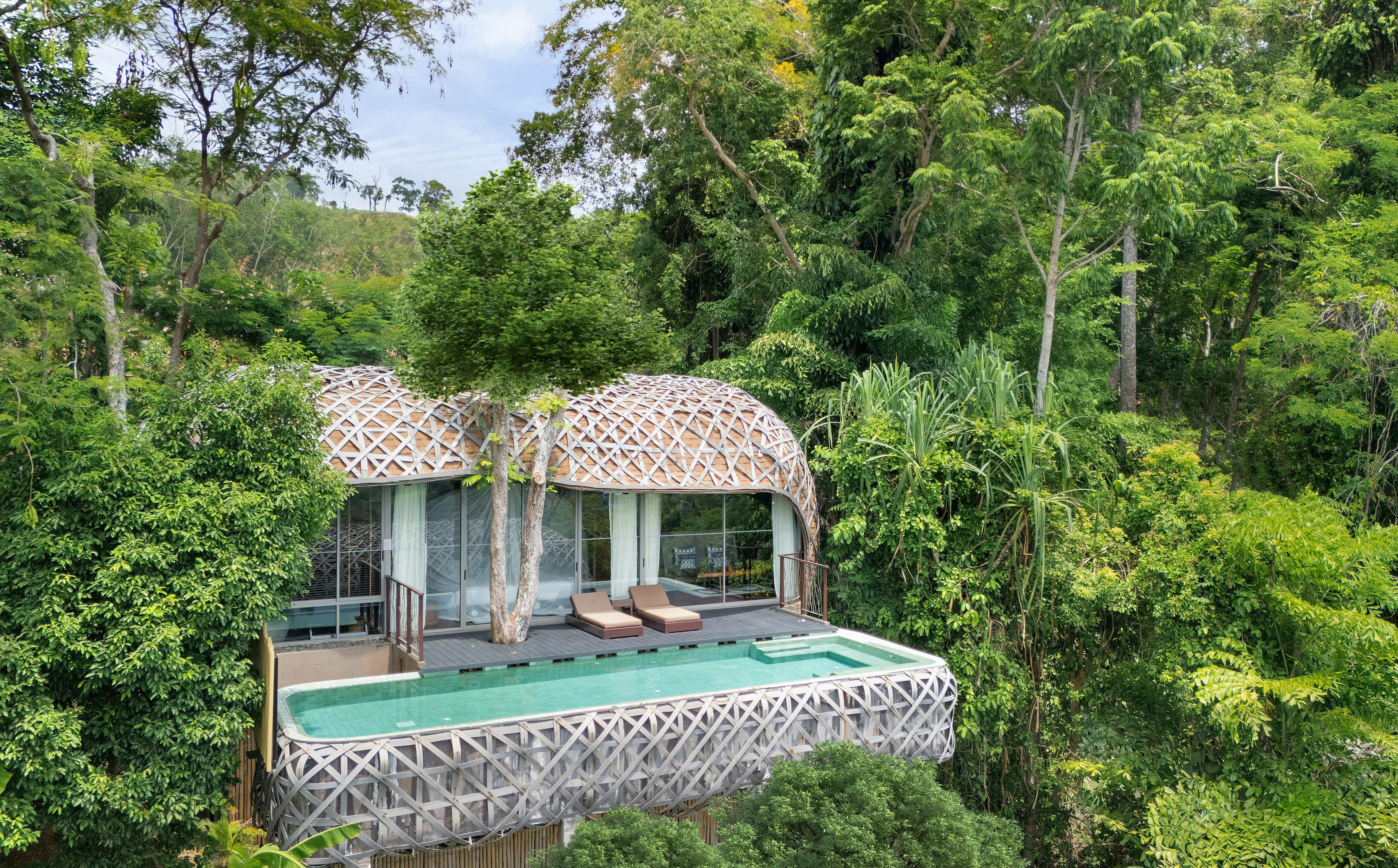 Birds Nest Pool Villa - Pool