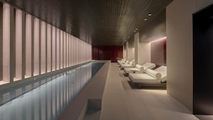 Spa and Swimming Pool Area
