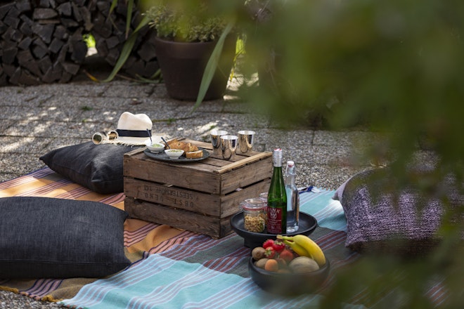 Picnic