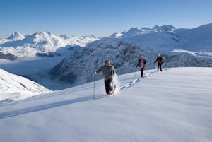 Snowshoeing