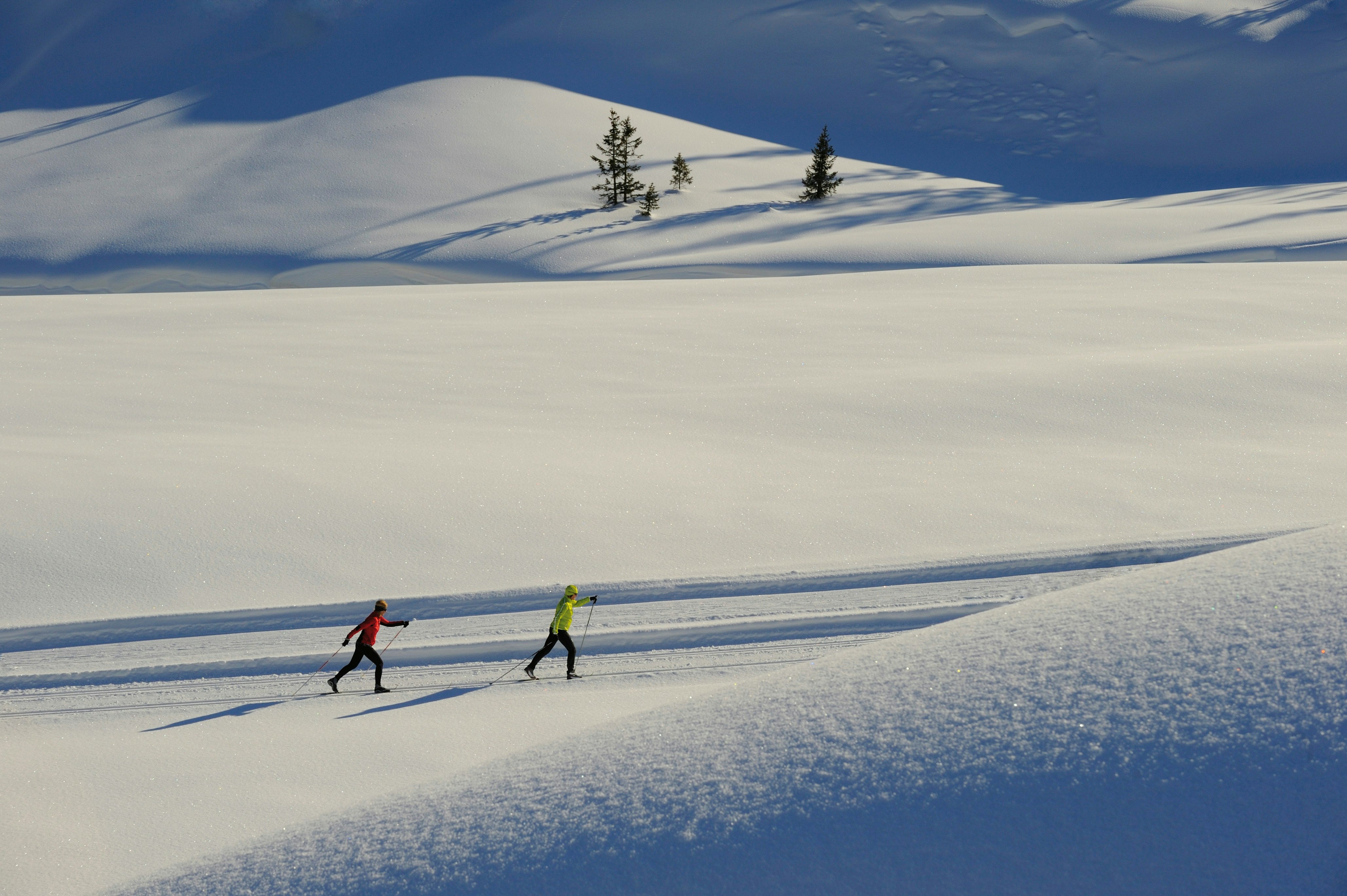 Cross Country Skiing