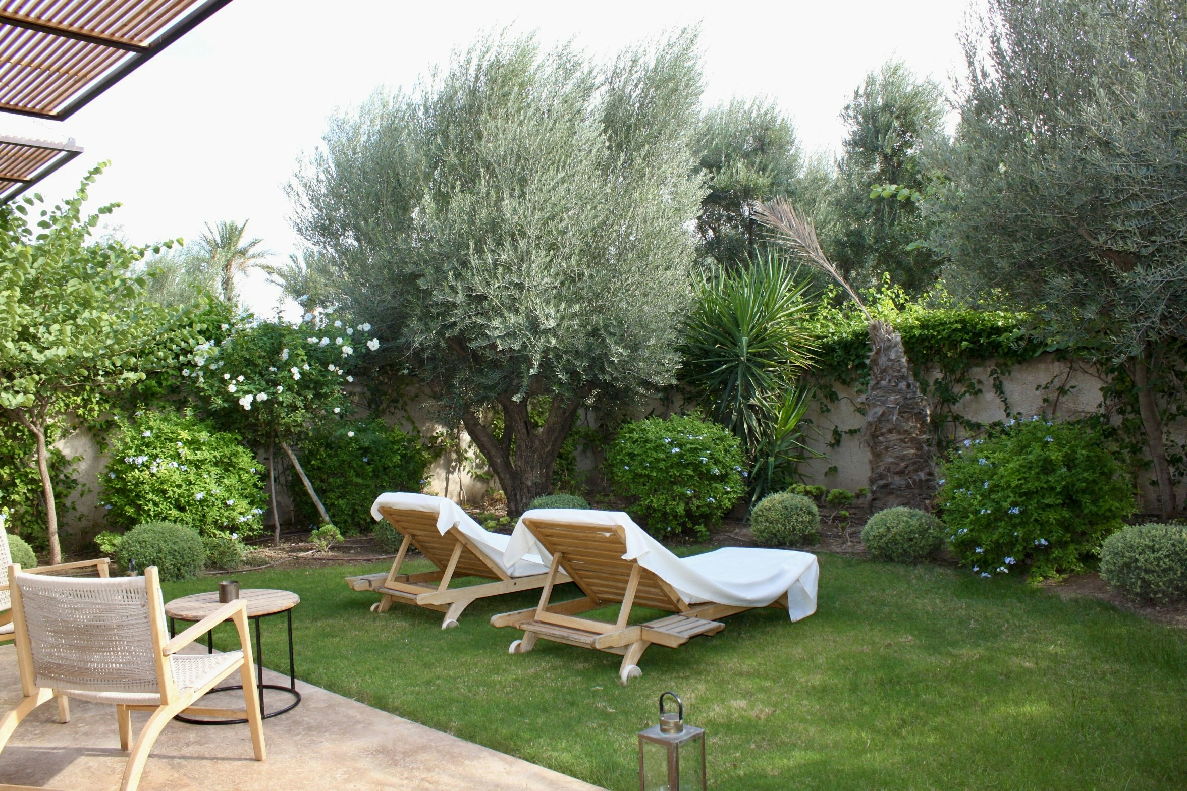 Ksara Executive Piscine - Garden