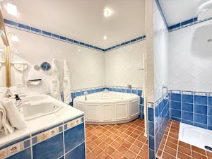 Superior Luxury Room