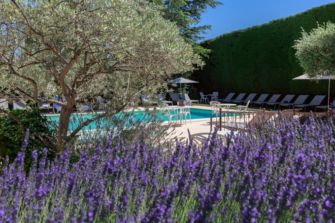 Swimming Pool View
