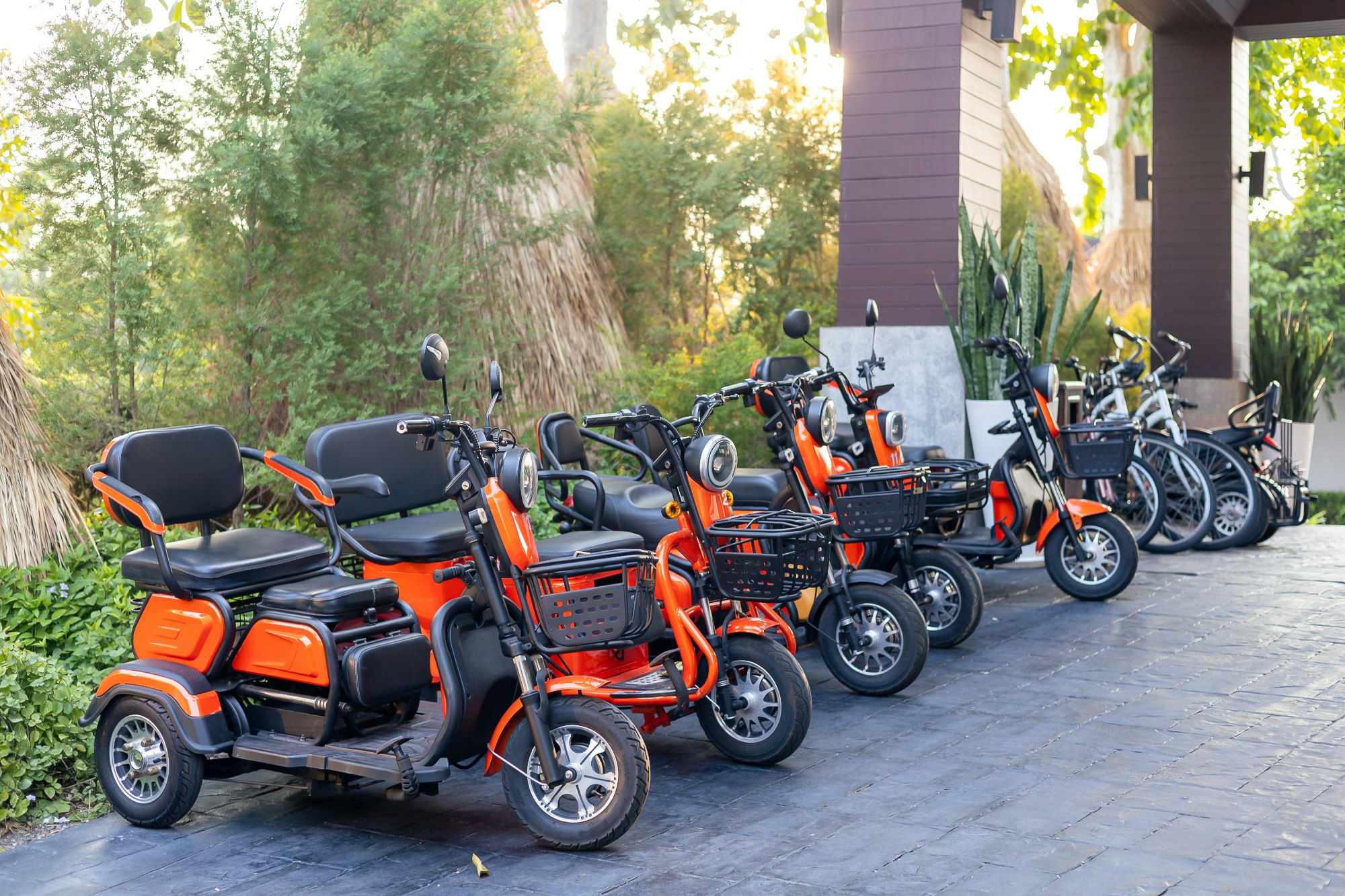 Electric Tricycles and Bicycles