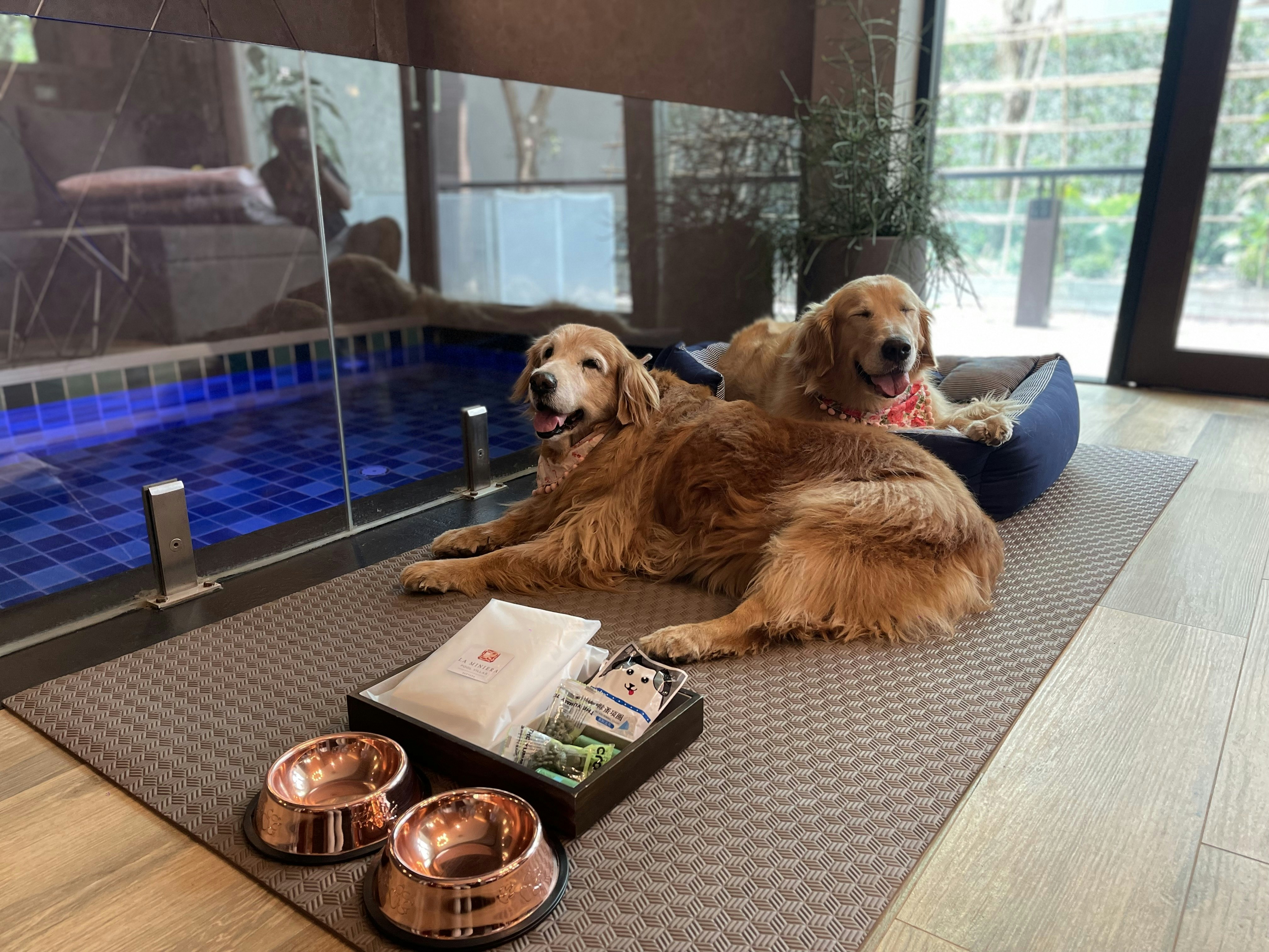 All-Inclusive Pet-Friendly Amenities