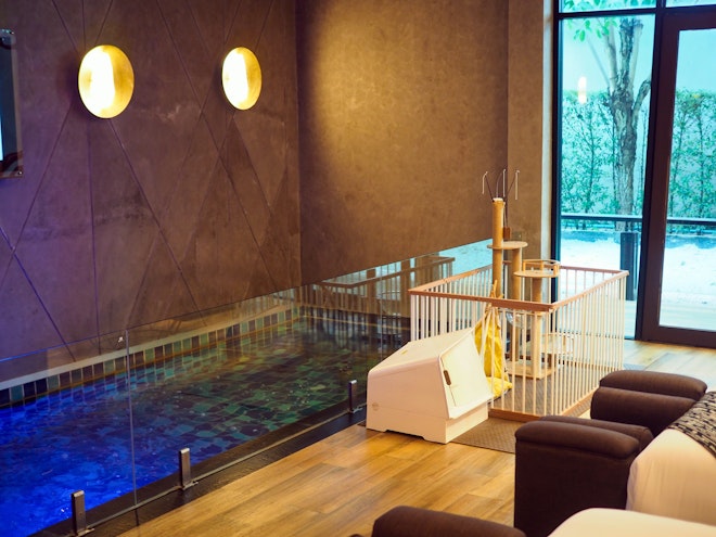 Luxury Pool Villa in Pattaya with Pet-Friendly Amenities –