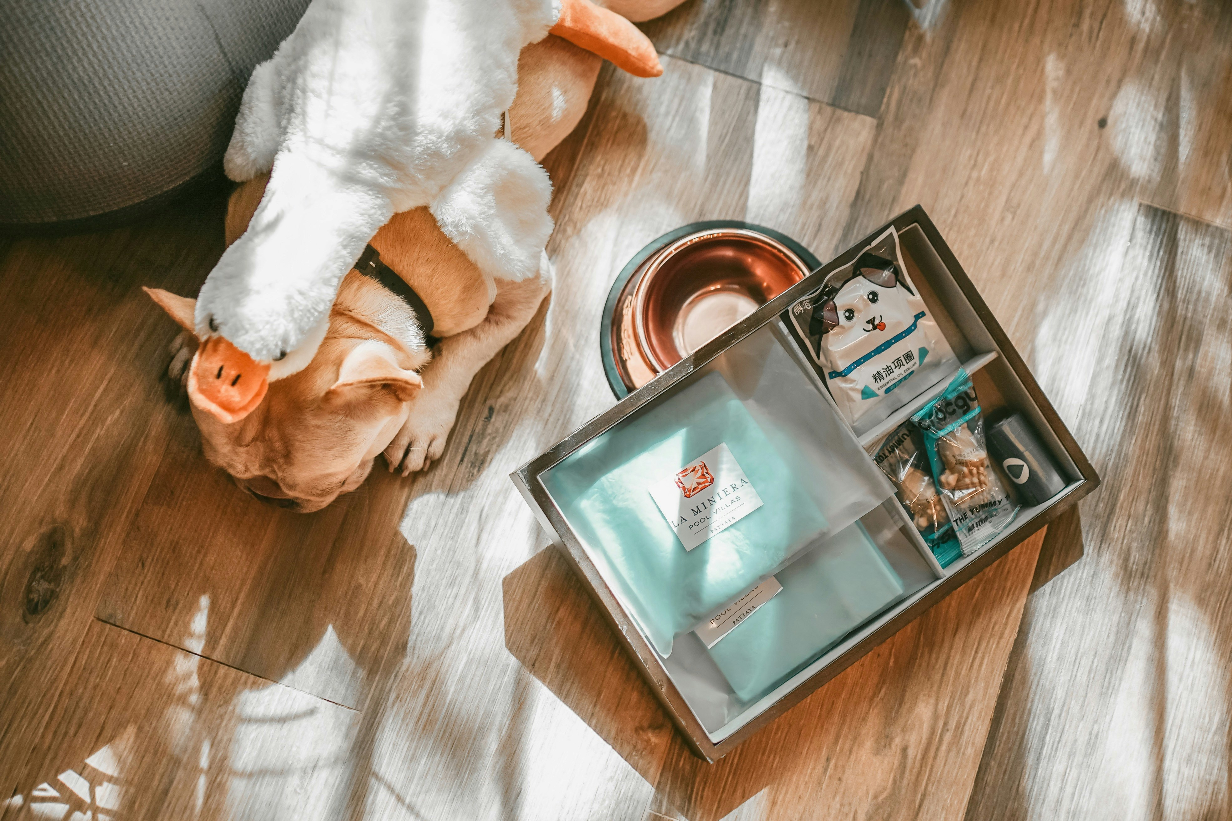 Pet-Friendly Pool Villa