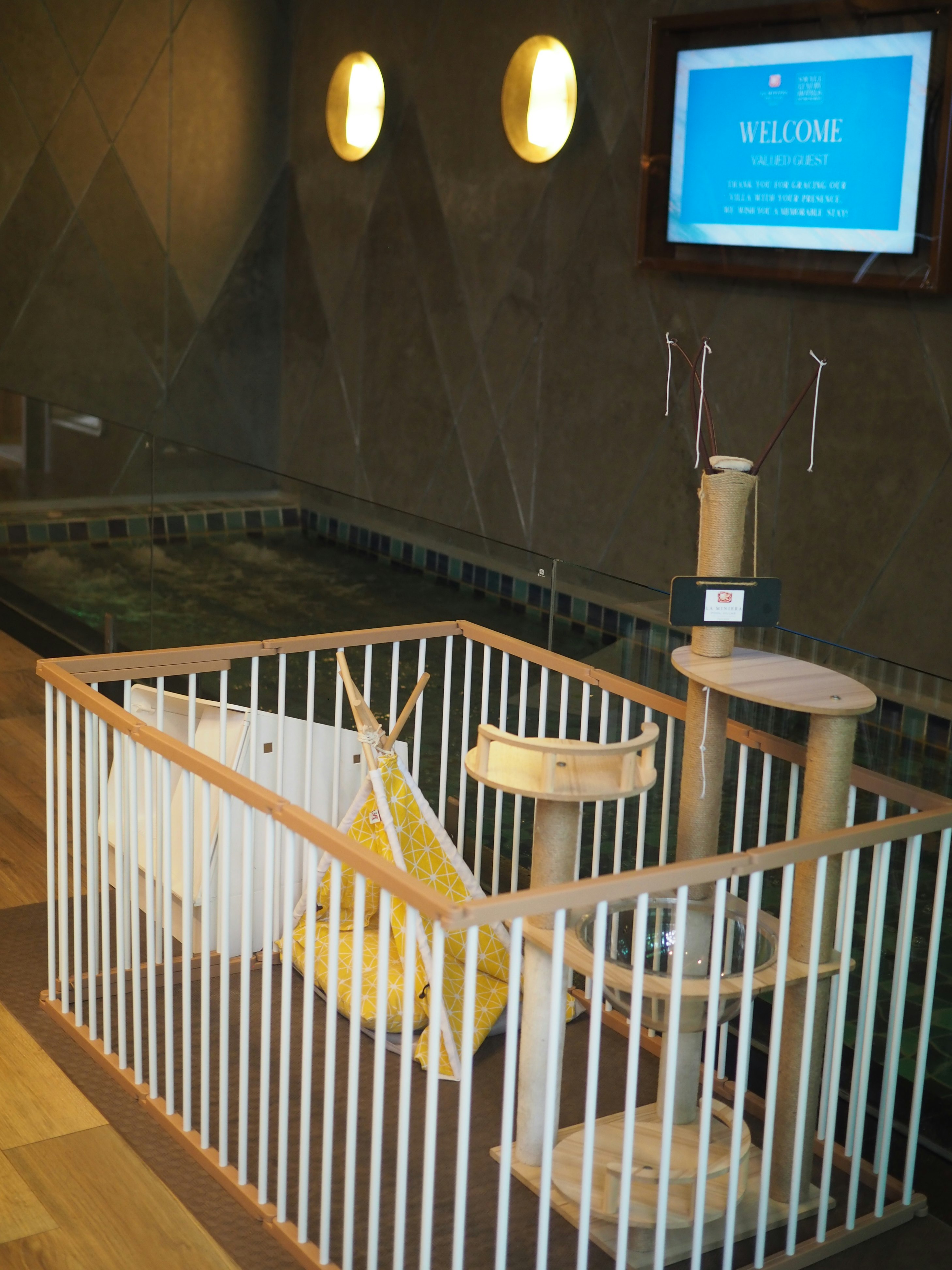 Pet-friendly Amenities