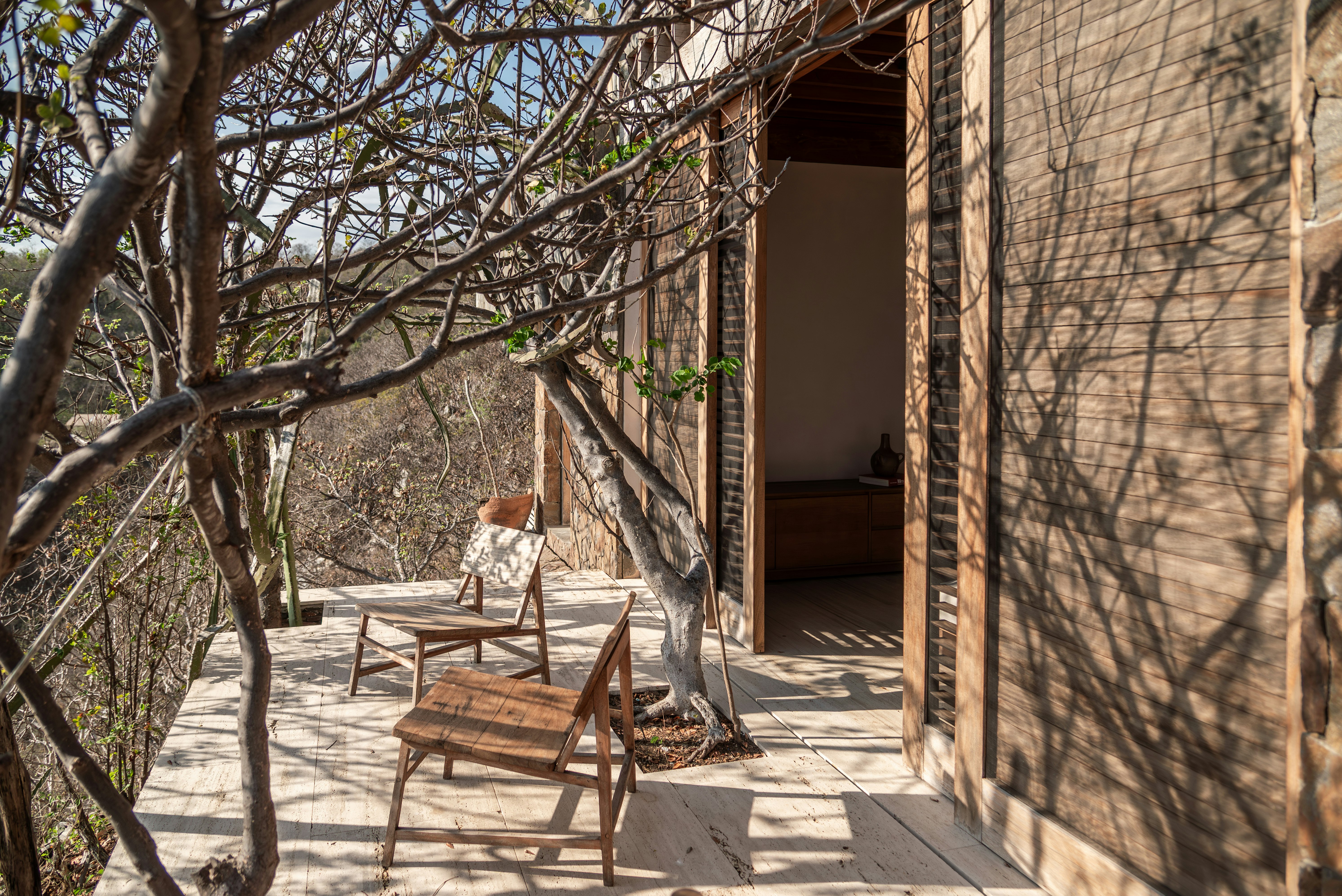 Suite Guayacan - Terrace